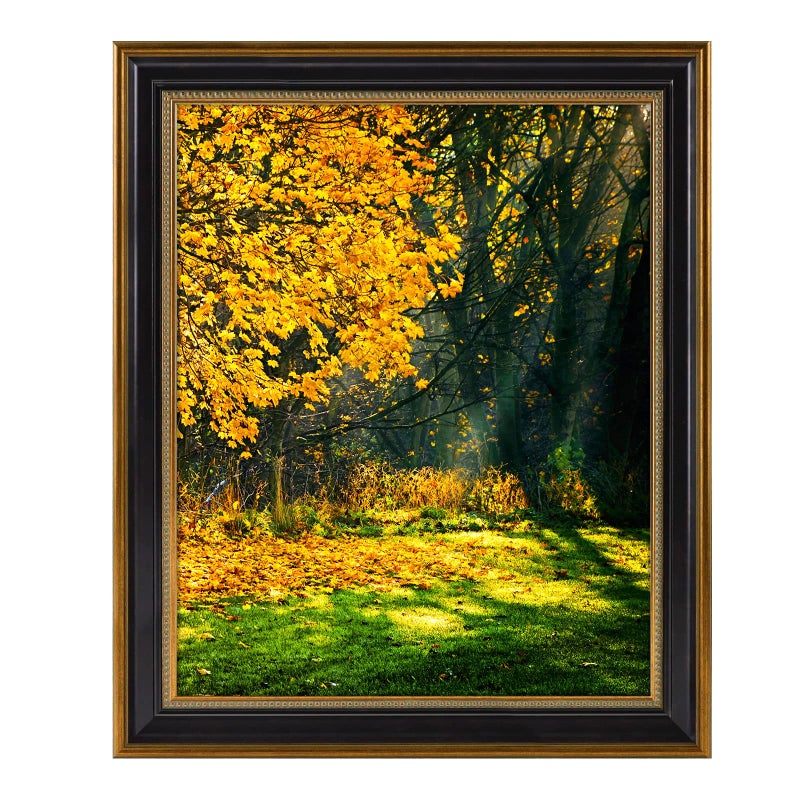Space Art Deco, 16x20 Picture Frame without Mat for 16x20 Poster/Photo/Print, Shatter-Resistant Real Glass Wall Mounting Display (Black and Ornate Gold Design, 1-Pack) - Image 1